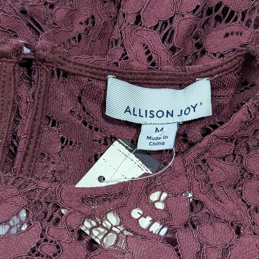 ALLISON JOY Nwt Evereve Sienna Burgundy Lace Top Shirt Medium M